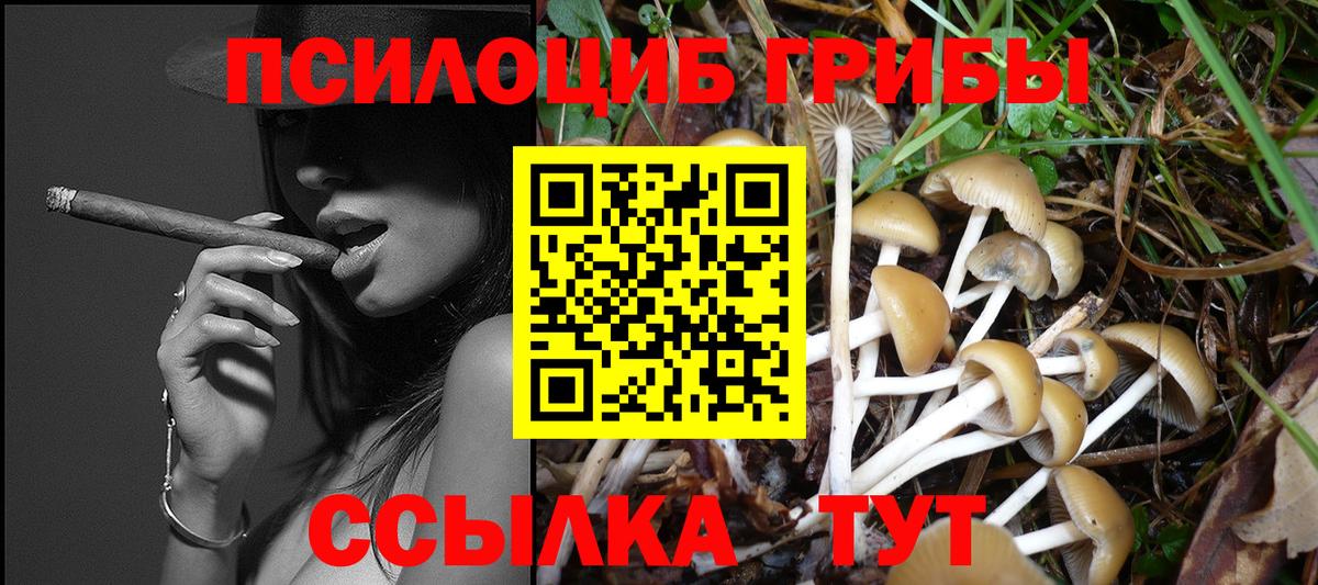 Кириши  Галлюциногенные грибы Magic Shrooms  Псилоцибиновые грибы мухоморы  Вход с VPN 